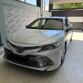 Toyota Camry 2019