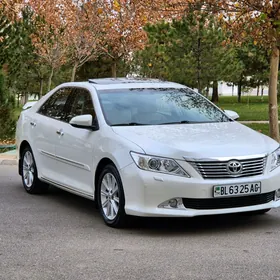 Toyota Aurion 2013