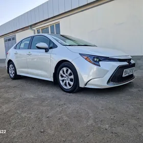 Toyota Corolla 2020