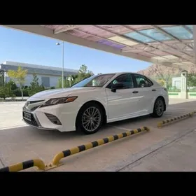 Toyota Camry 2019