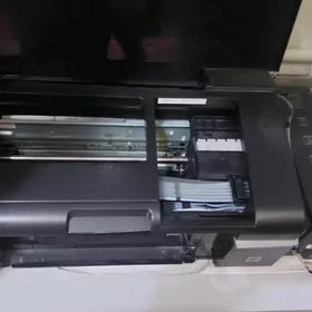 Printer Epson L800