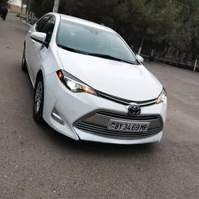 Toyota Corolla 2018