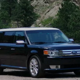 Ford Flex Amortizator 2012