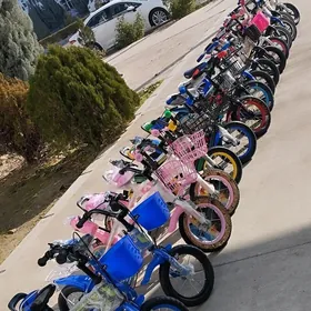  Çaga Tigirler 