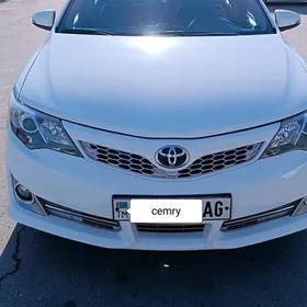 Toyota Camry 2013