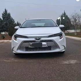 Toyota Corolla 2020