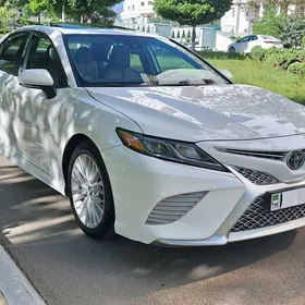 Toyota Camry 2019