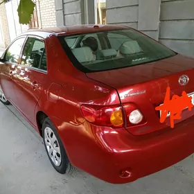 Toyota Corolla 2010