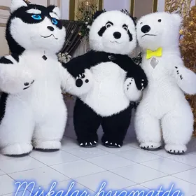 aýy, panda,мишка