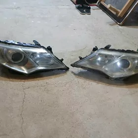 palta camry haliji fara