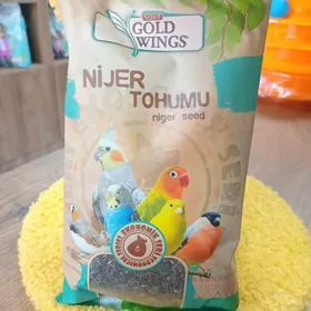 NIJER TOHUMY