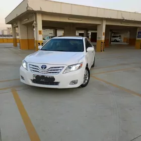 Toyota Camry 2010