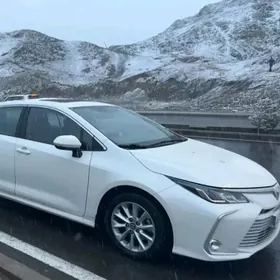 Toyota Corolla 2019