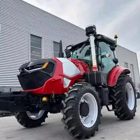 MTZ 80 2024