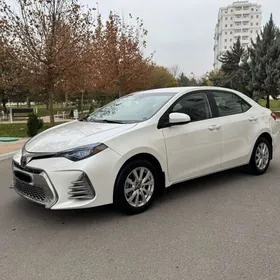 Toyota Corolla 2019