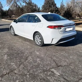 Toyota Corolla 2020