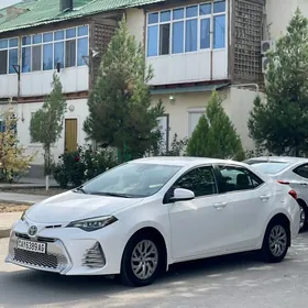 Toyota Corolla 2019