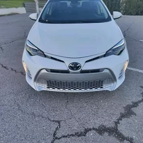 Toyota Corolla 2019