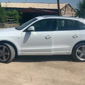 Audi Q5 2009