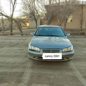 Toyota Camry 2001