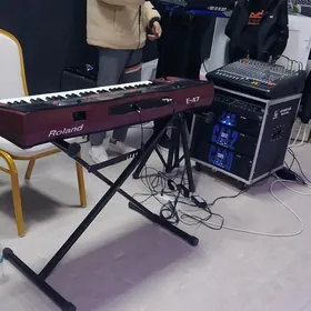 Roland E-A7