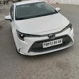 Toyota Corolla 2020