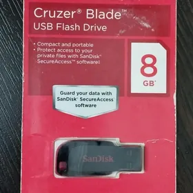 Sandisk fleşka