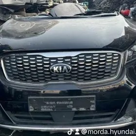 Hyundai Kia Morda