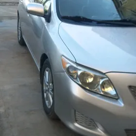 Toyota Corolla 2010