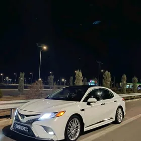 Toyota Camry 2019