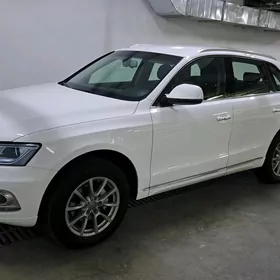 Audi Q5 2013