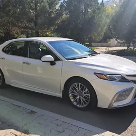 Toyota Camry 2019