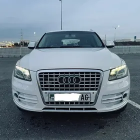 Audi Q5 2010