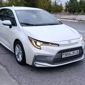 Toyota Corolla 2020