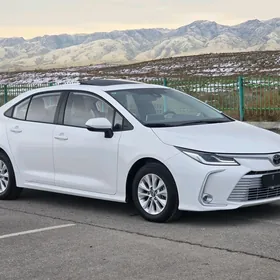 Toyota Corolla 2021