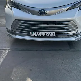 Toyota Sienna 2023