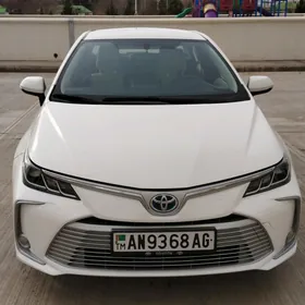 Toyota Corolla 2019