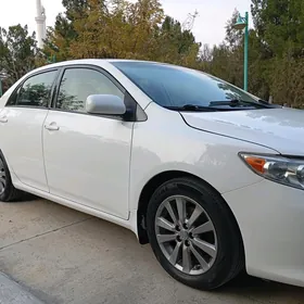 Toyota Corolla 2010