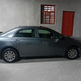 Toyota Corolla 2008