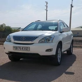 Lexus RX 330 2004