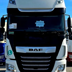 DAF 480 2019