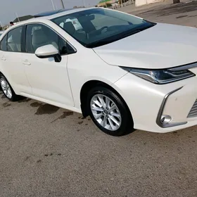 Toyota Corolla 2019