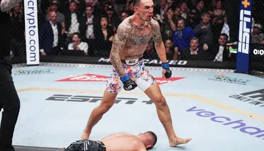 ESPN portaly MMA-da ýylyň jemini jemledi: ýylyň söweşijisi, ýylyň söweşi...