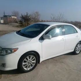 Toyota Corolla 2010