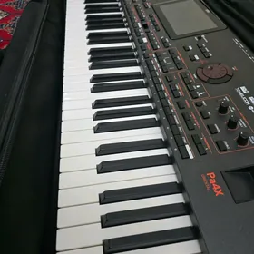 korg pa4x76 oriental