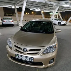 Toyota Corolla 2011