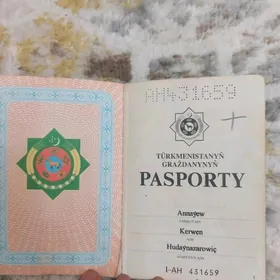 паспорт pasport yitdi