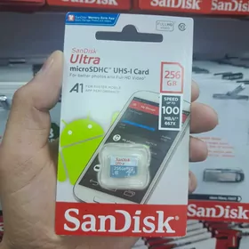 çip 256gb sandisk