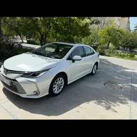 Toyota Corolla 2019