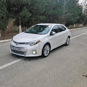 Toyota Corolla 2014